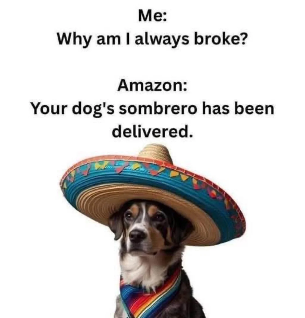 Amazon2.webp