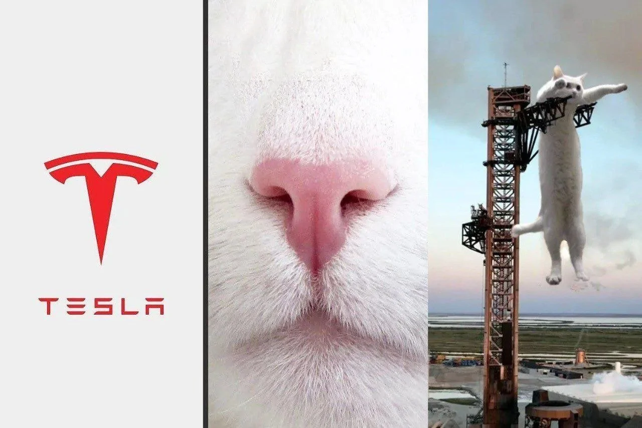 Tesla.webp
