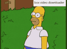 IMG_9695.gif