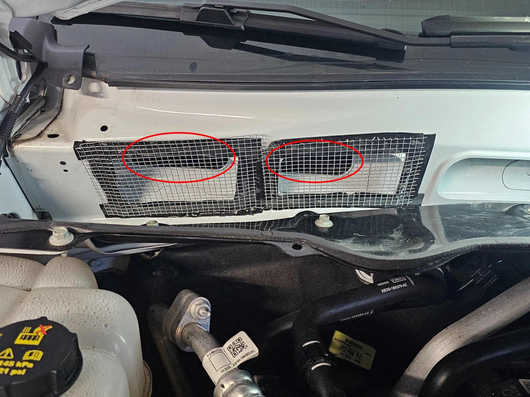 vent.webp