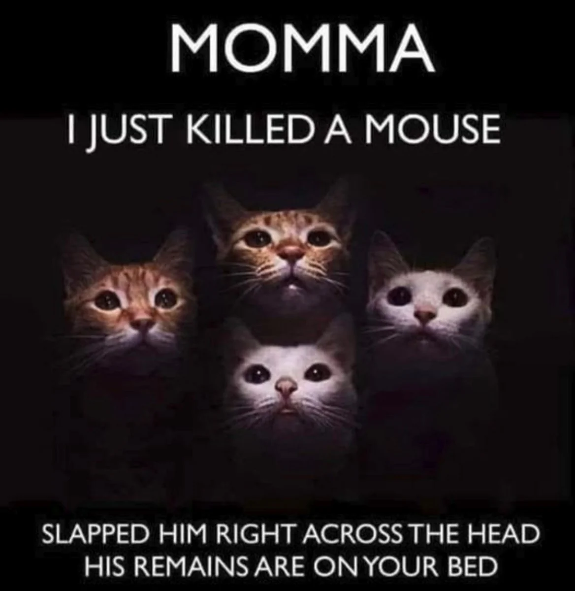 Momma.webp