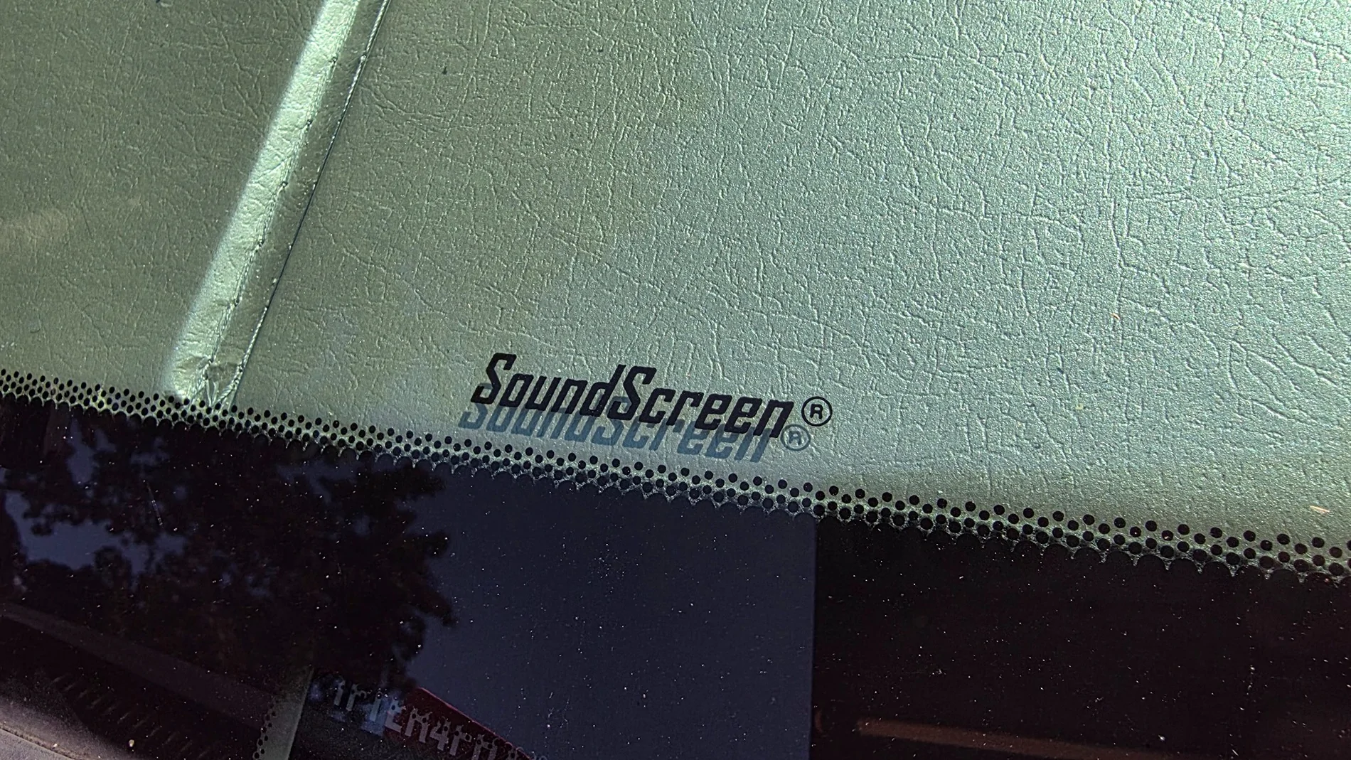 20250819_150931.jpg