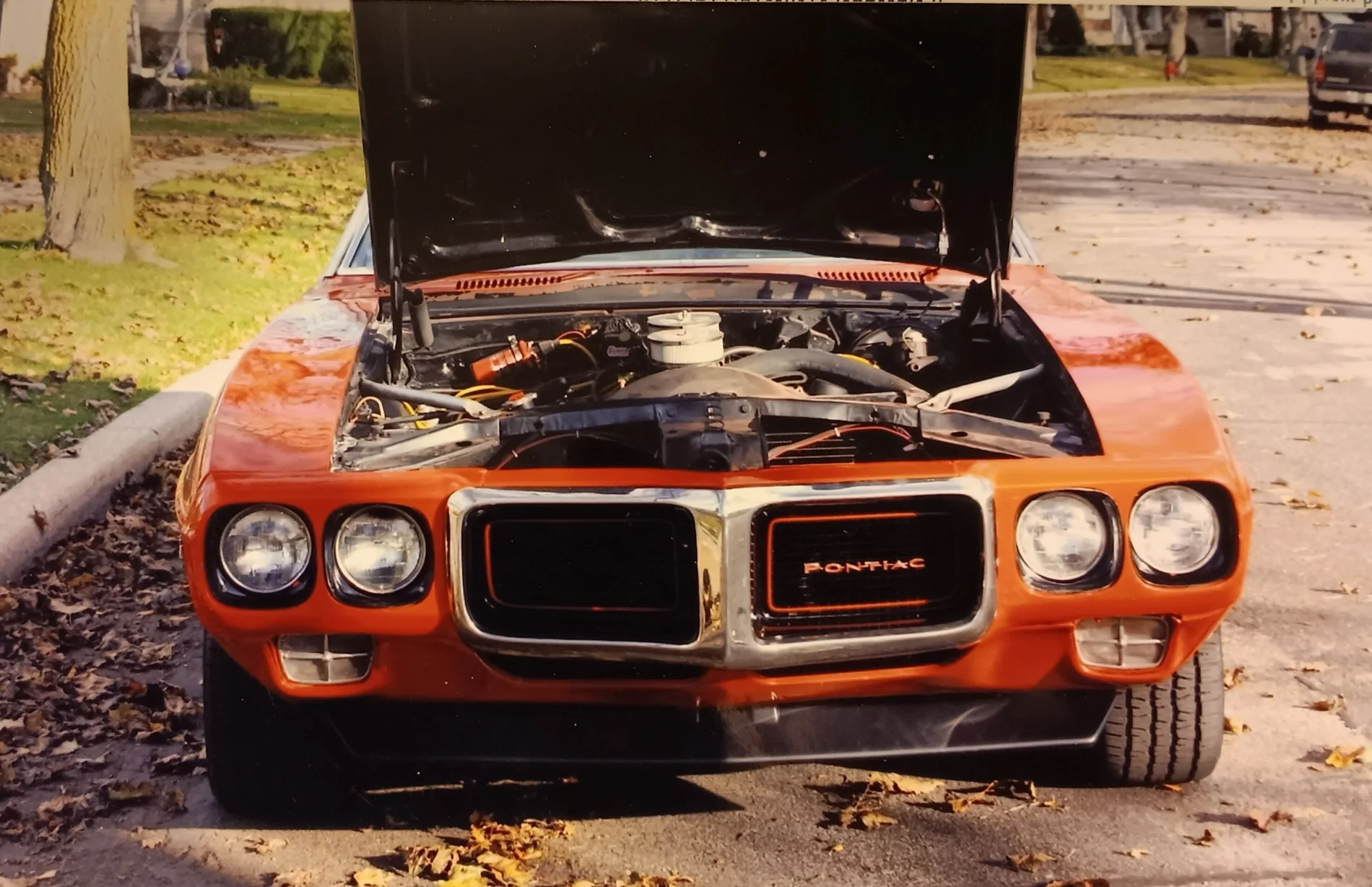 firebird2.webp