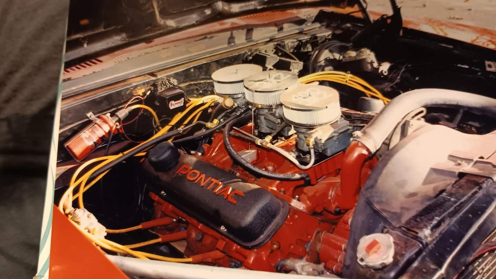 firebird1.webp
