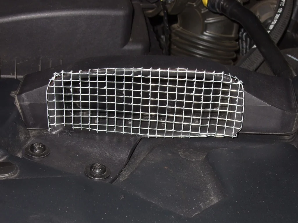 Mice proofing 2 .jpg
