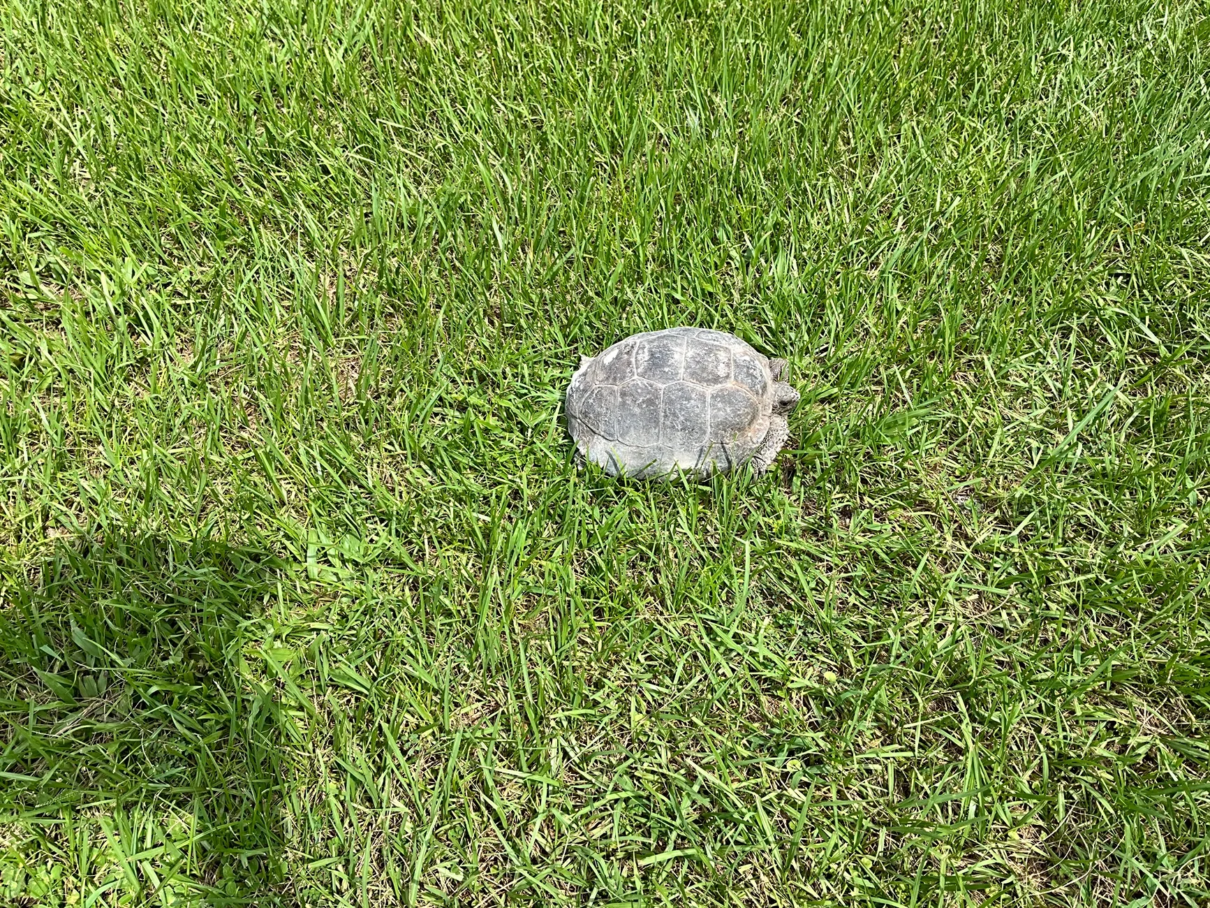 IMG_0218.webp