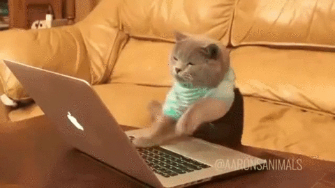 1756849283029-l0.gif