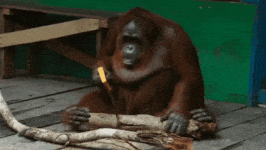 1756859720474-w3.gif