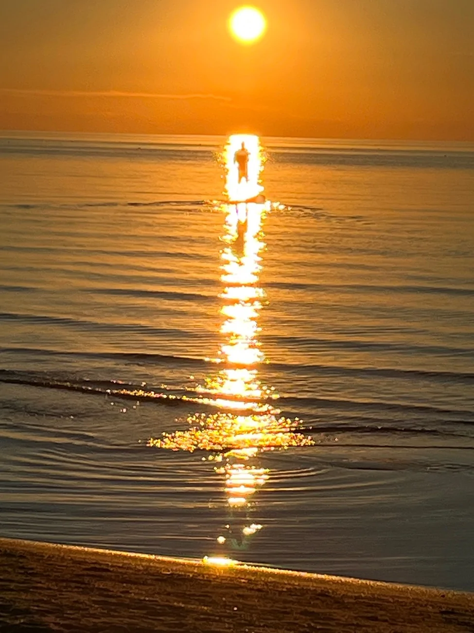 IMG_4166.webp