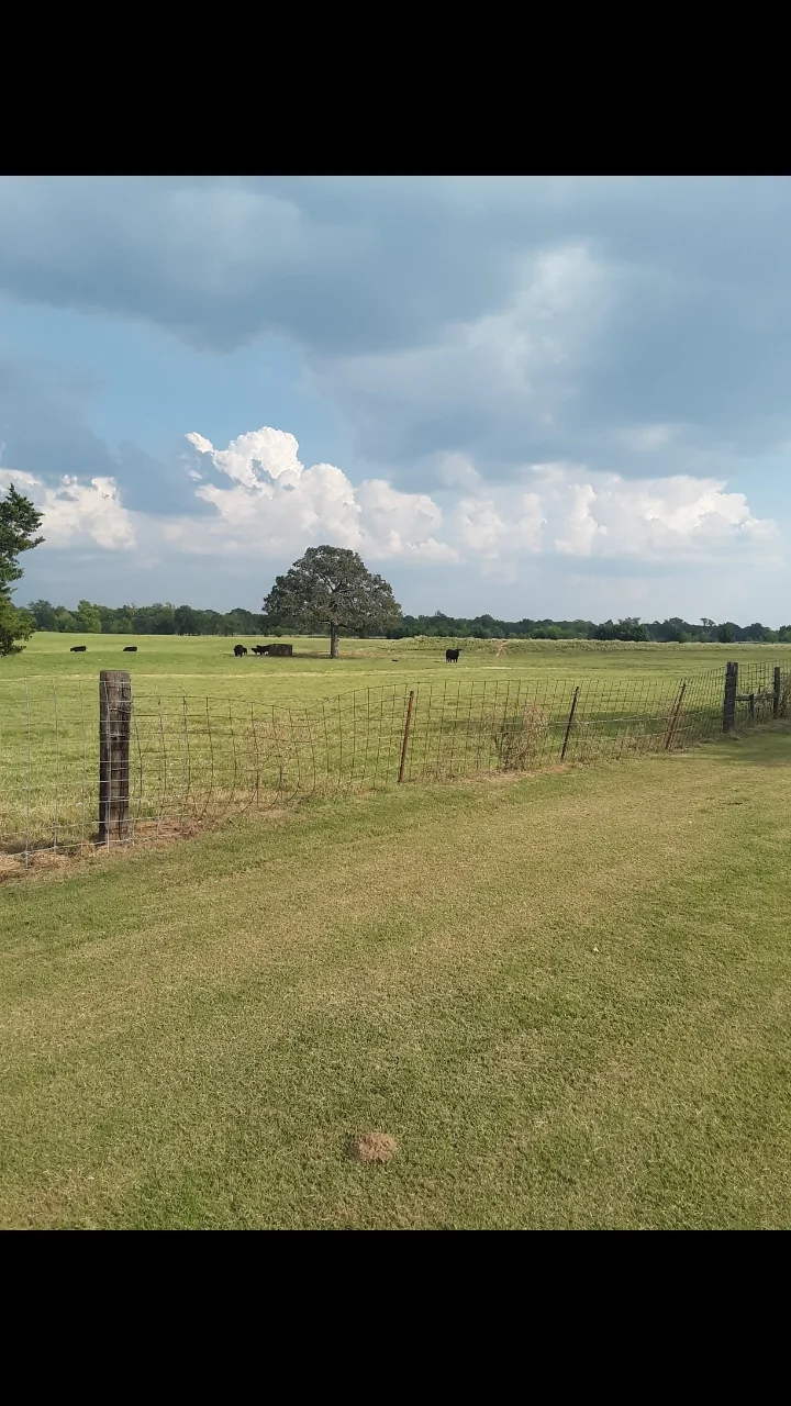 Screenshot_20250918-193530_Gallery.webp