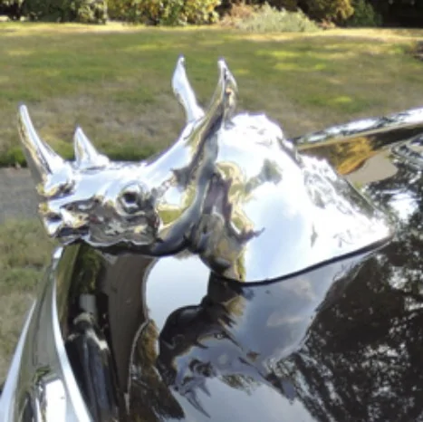 Rhino.webp