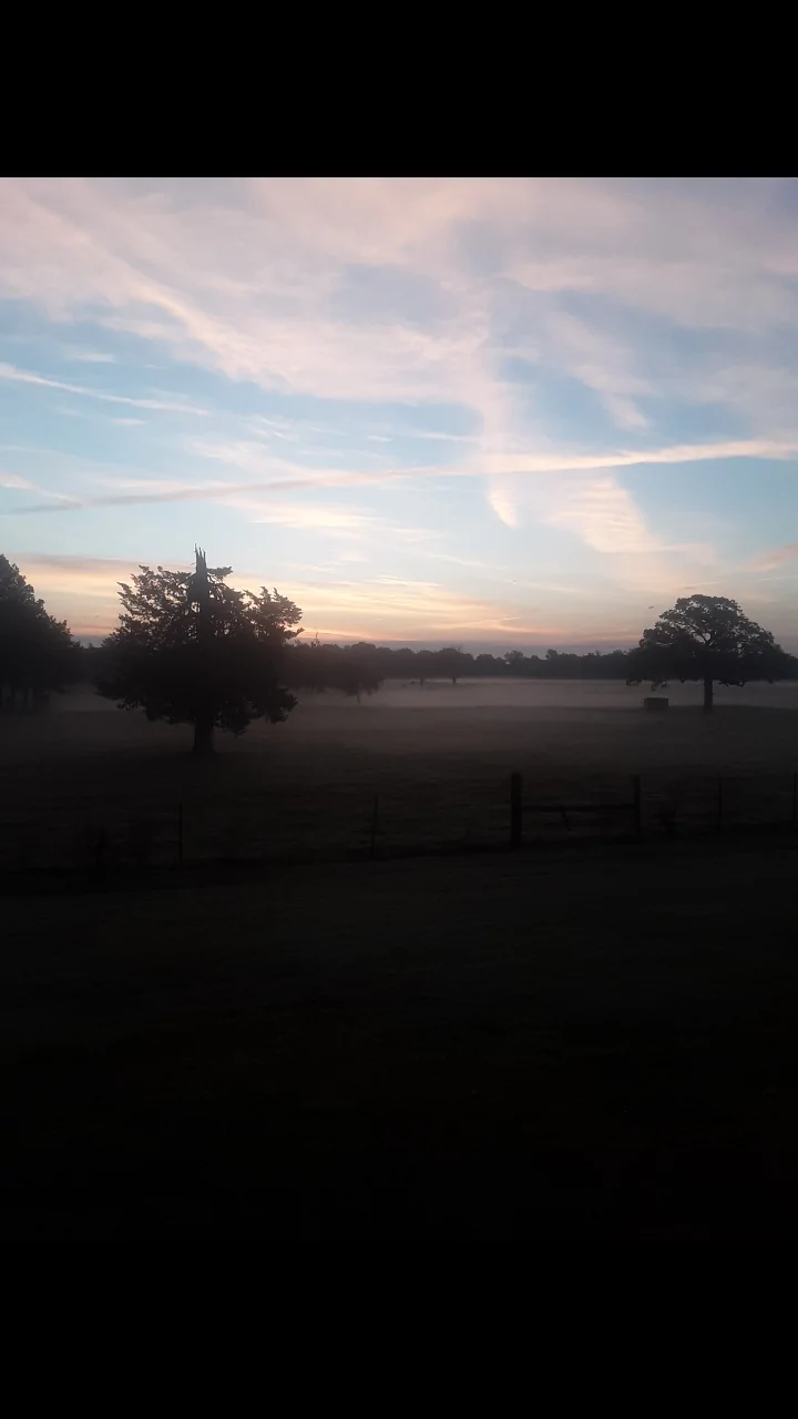Screenshot_20250928-071101_Gallery.webp