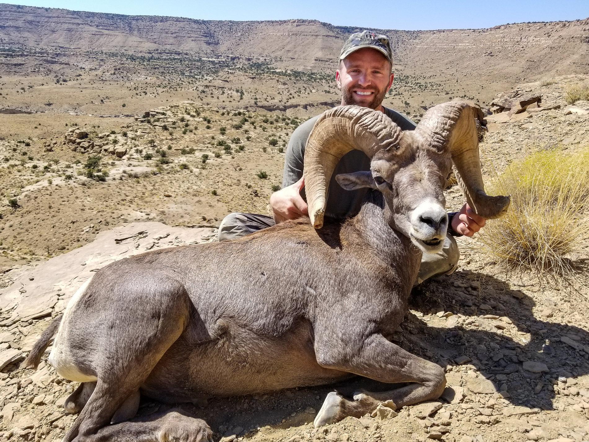 2019sheep (6 of 16).jpg