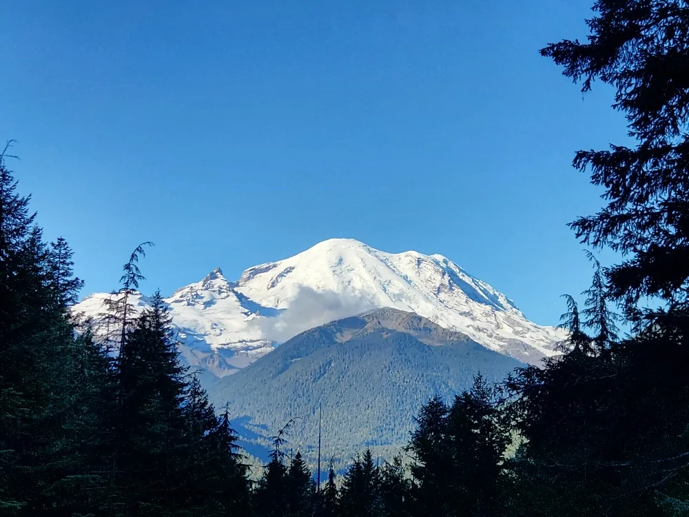 Mt Rainier.webp