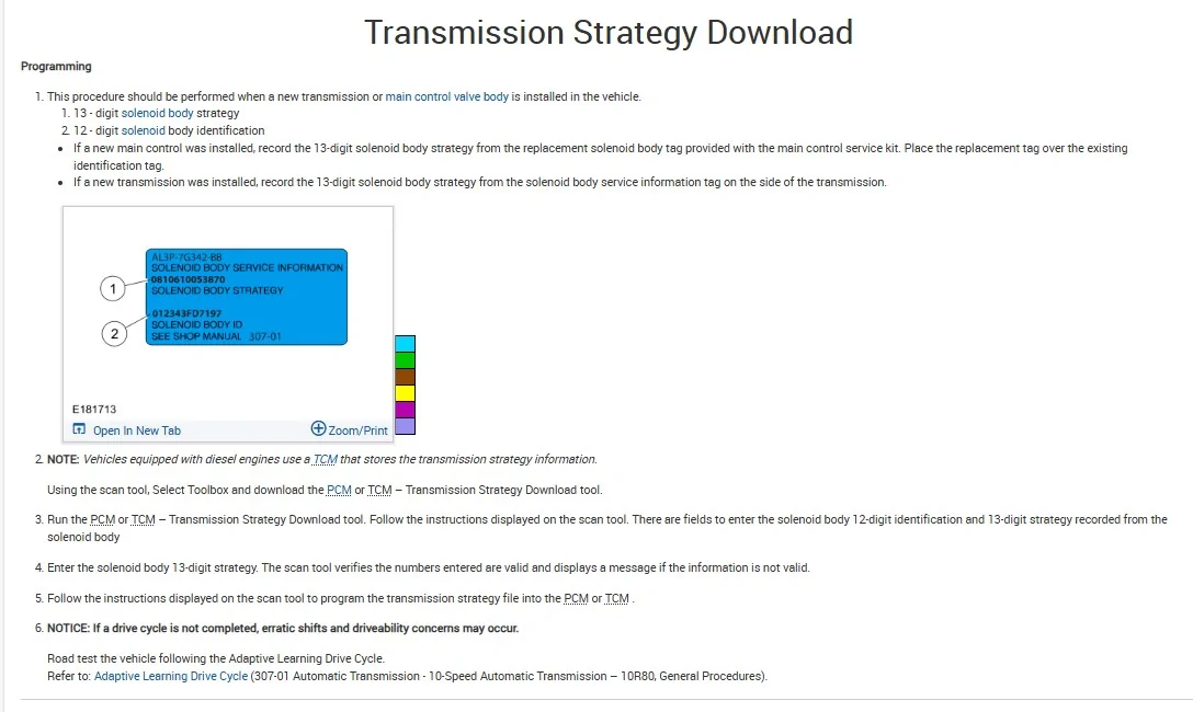 Trans Programming.webp