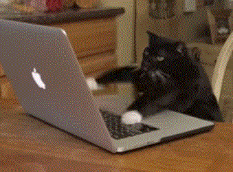 1761420358154-xe.gif