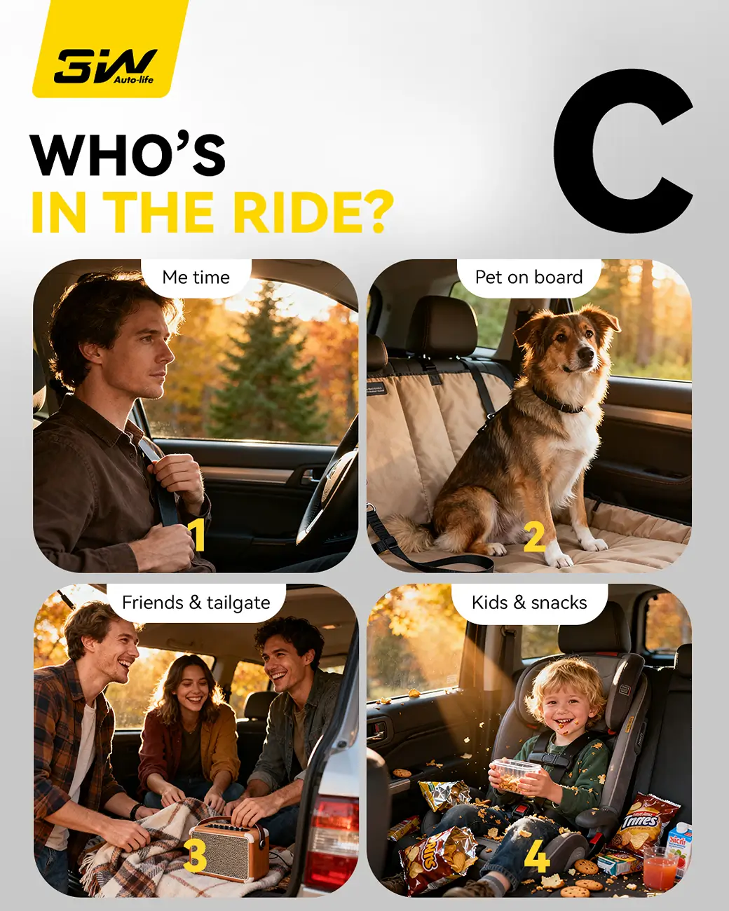 8 (4).webp