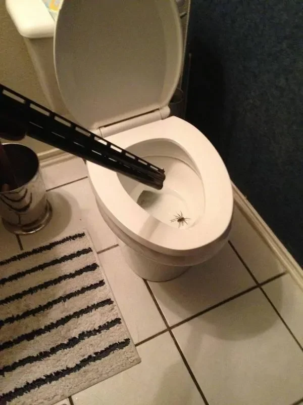 1762575303460-e0.webp