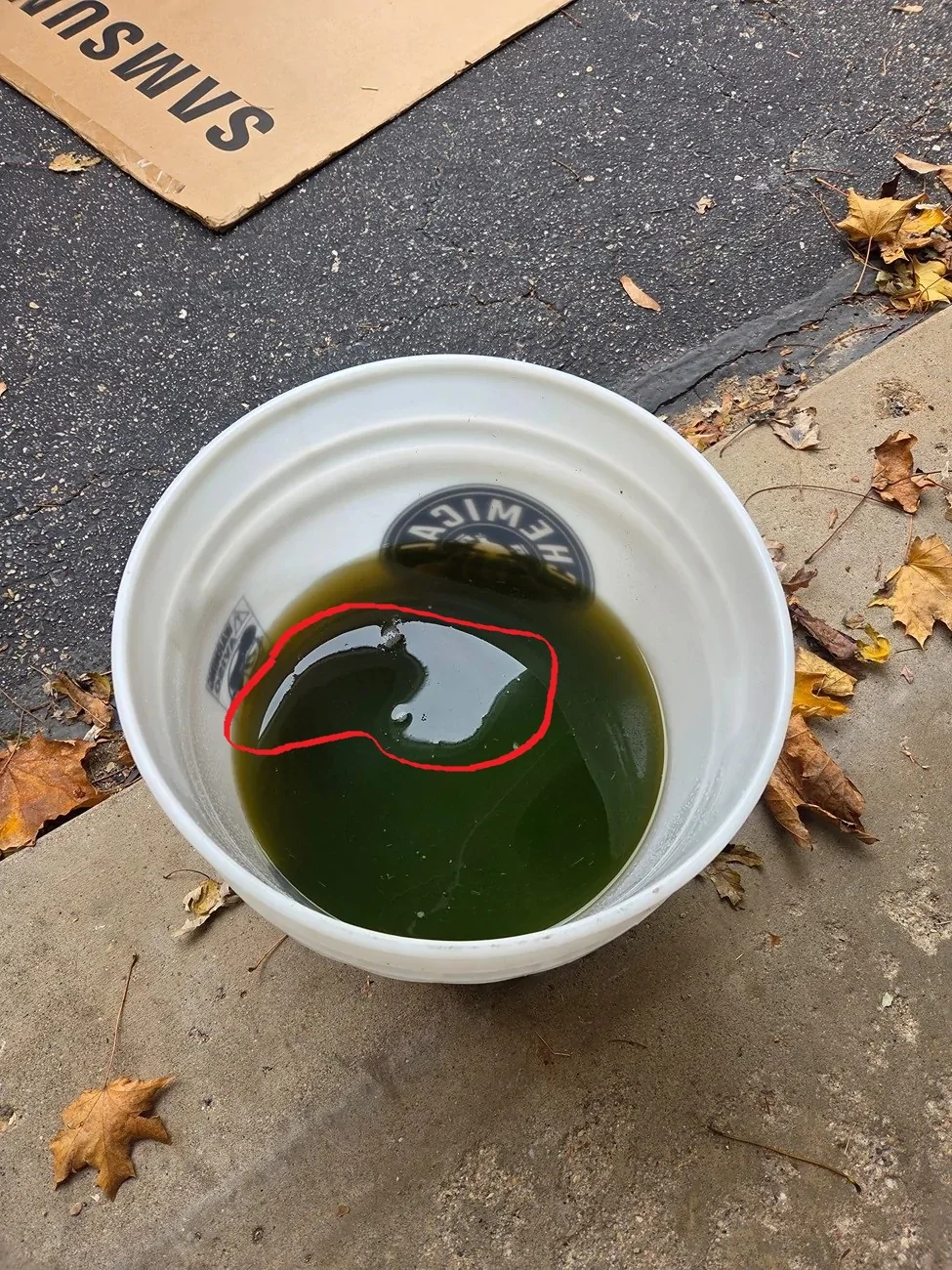 Coolant Pic.webp