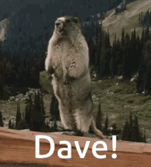 1762993929956-89.gif