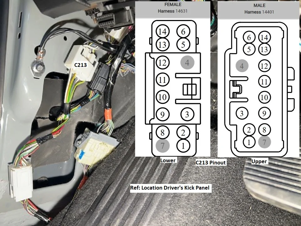 C213 Detailed.webp