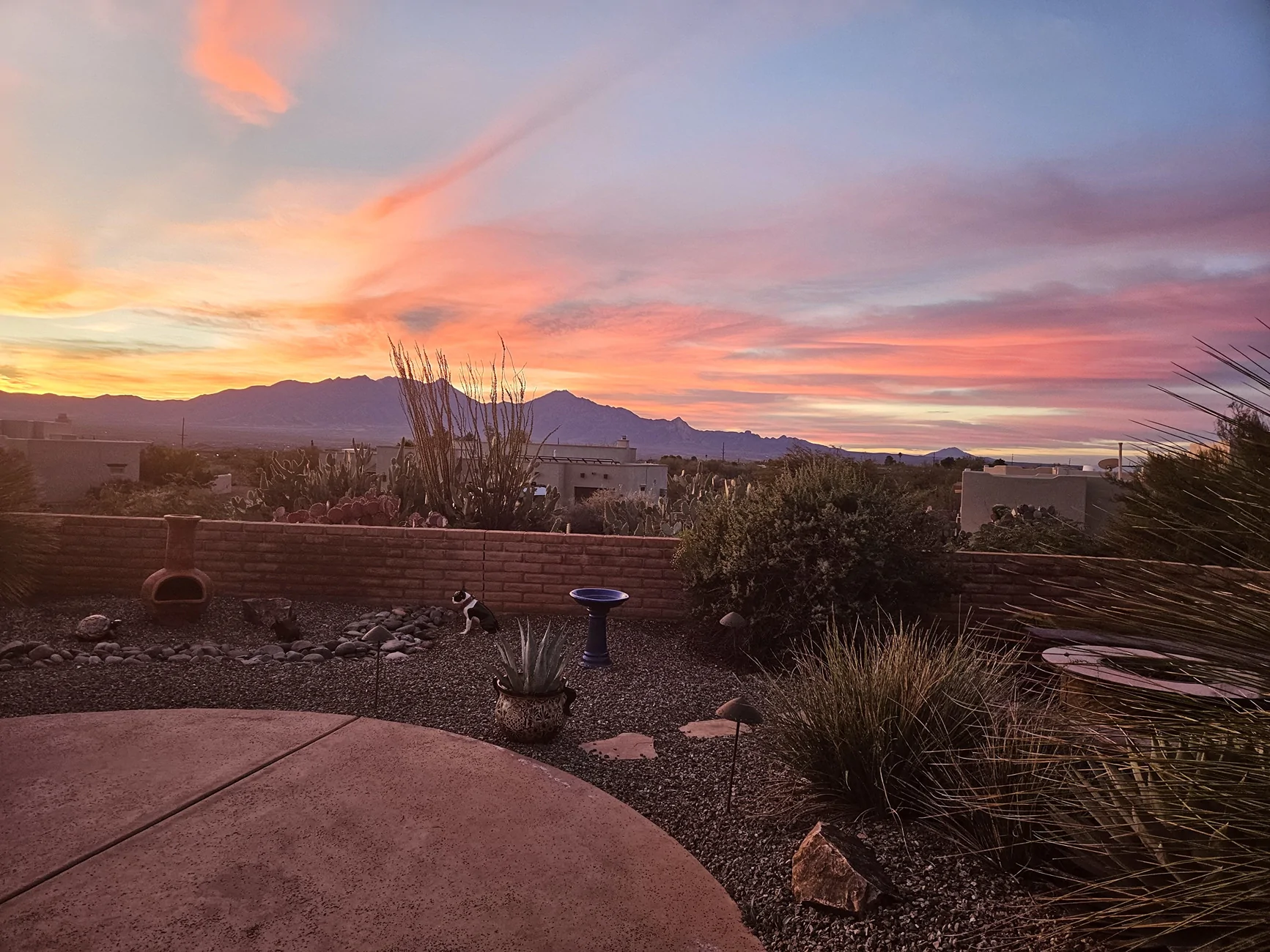 Thanksgiving 2025 sunrise.webp