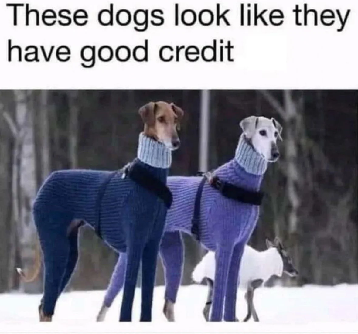 good-credit.webp