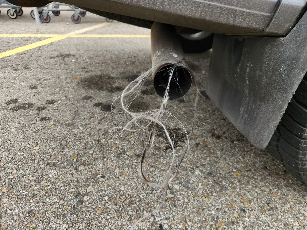 hairball.webp