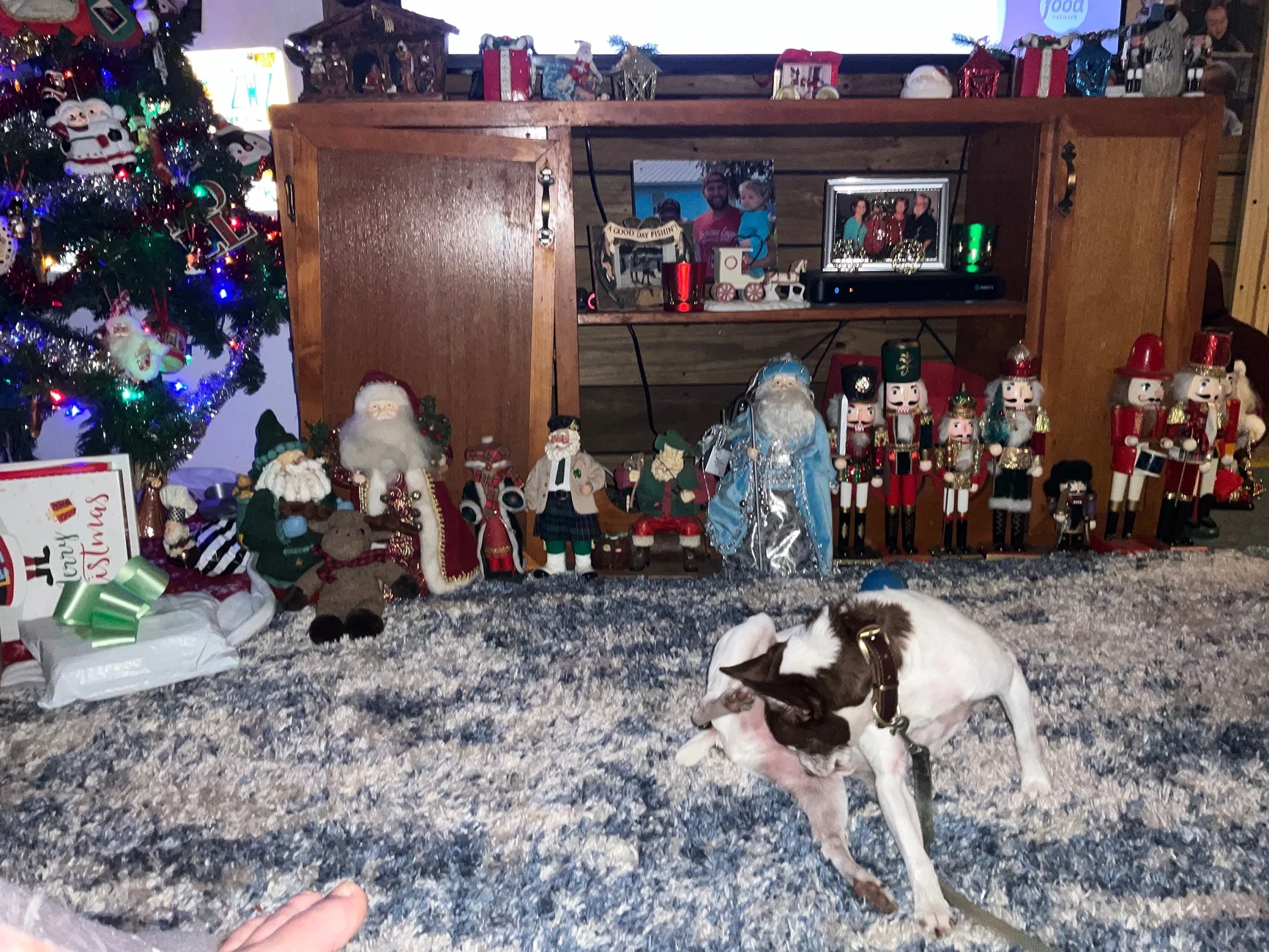 image.webp