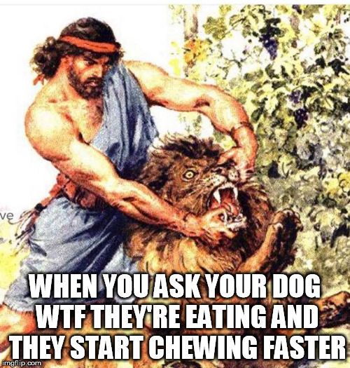 MTJzci5qcGc.jpg