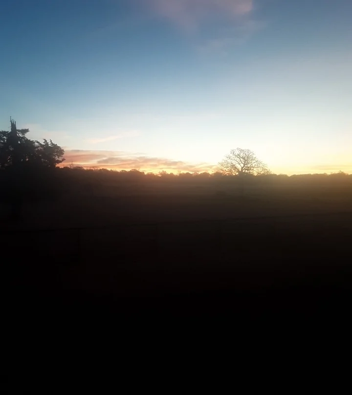 20251211_070517.webp