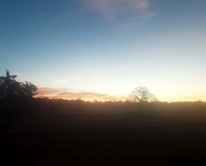 20251214_171012.webp