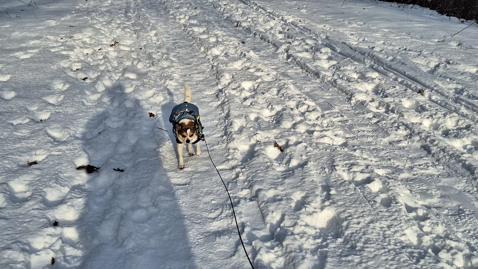 20251206_143204.webp