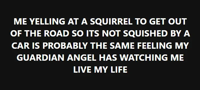 Squirrel.webp