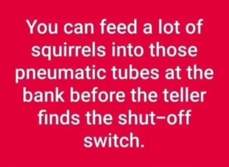 Tubes.webp