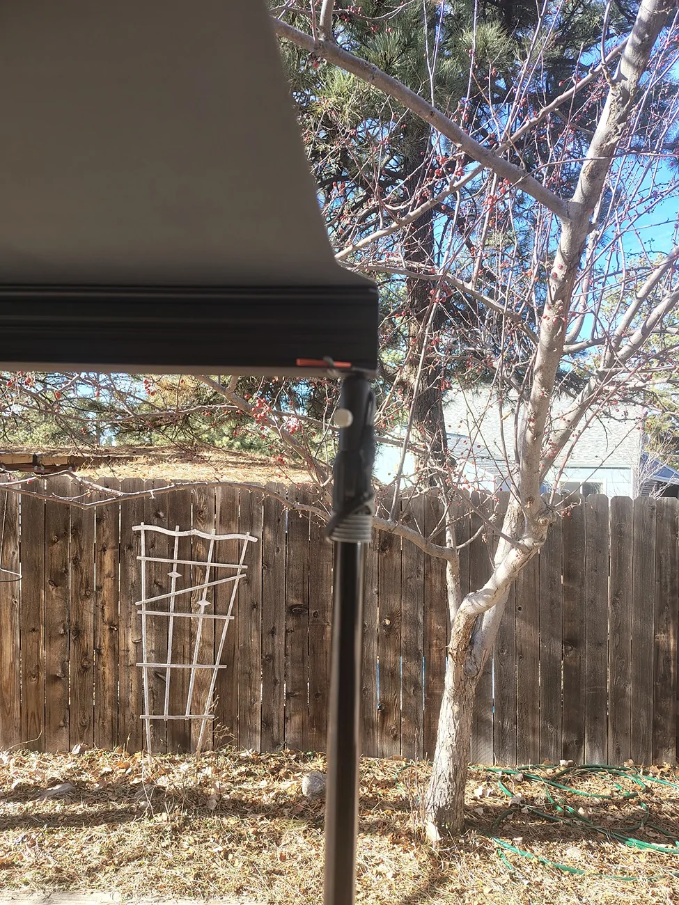 IMG_20251221_122205261_HDR.webp