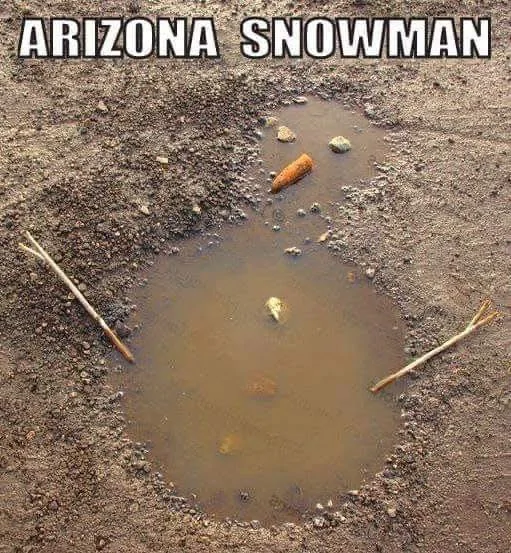 Arizona Snowman.webp