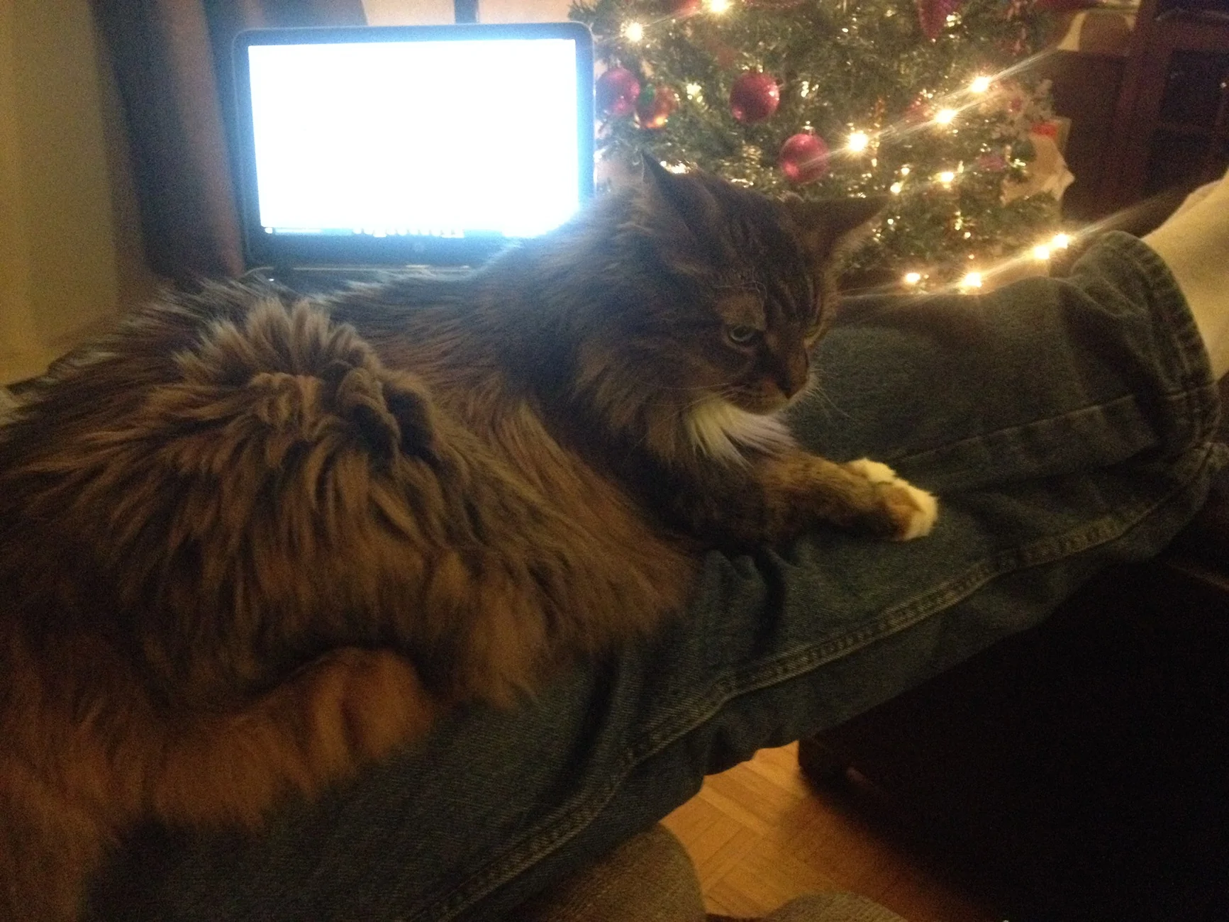 2015-12-14 22.37.36.webp
