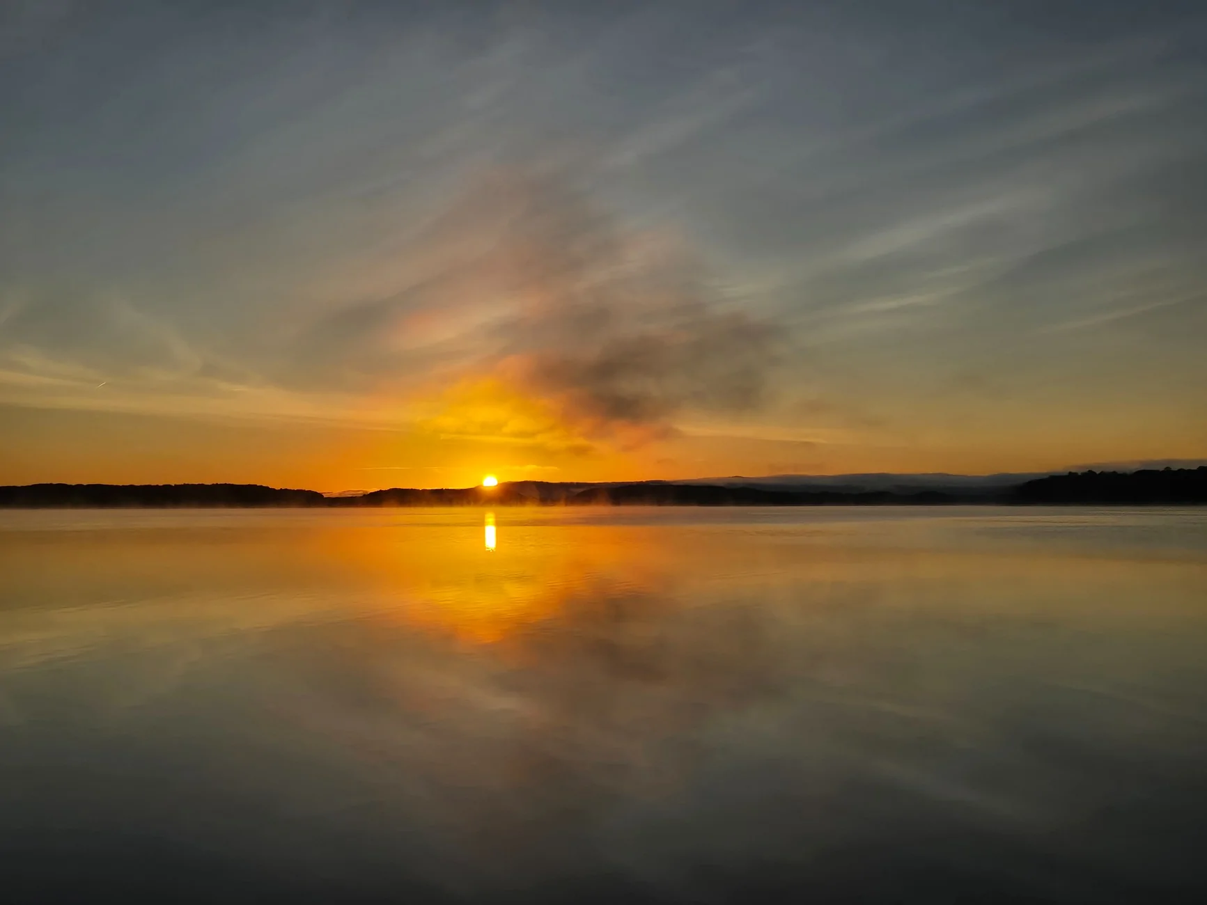 1000005709.webp