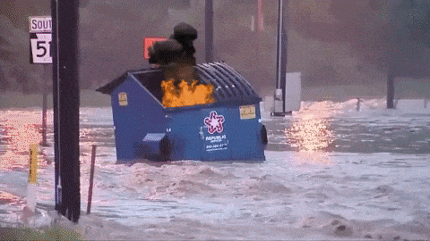 1767732115475-e0.gif
