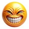 Grin & bear It copy.webp