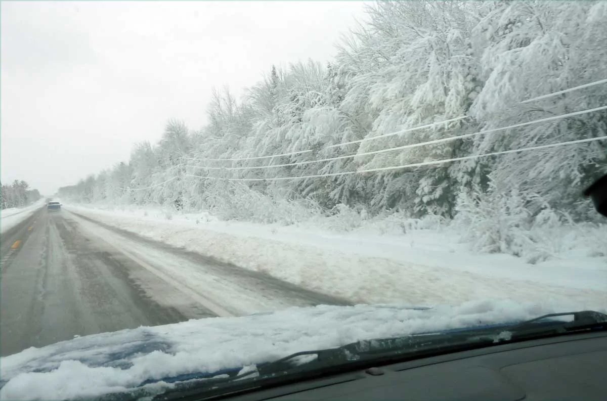 campdrivesnow8.webp