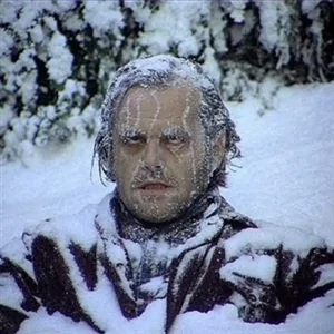 Frozen-Guy-meme-4.webp