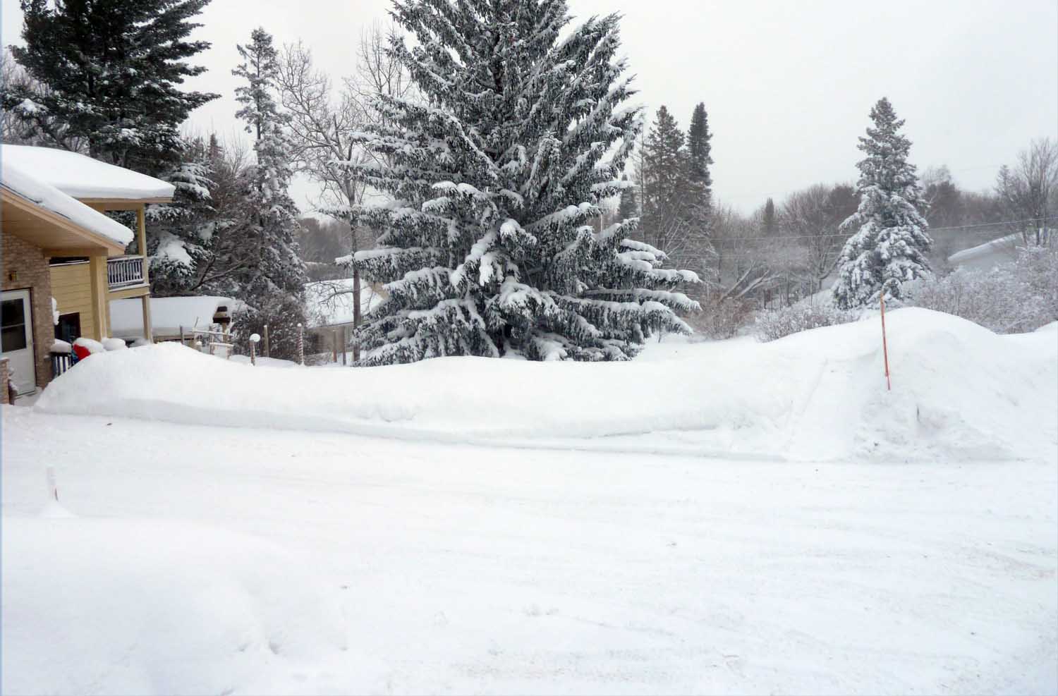 snow065.jpg