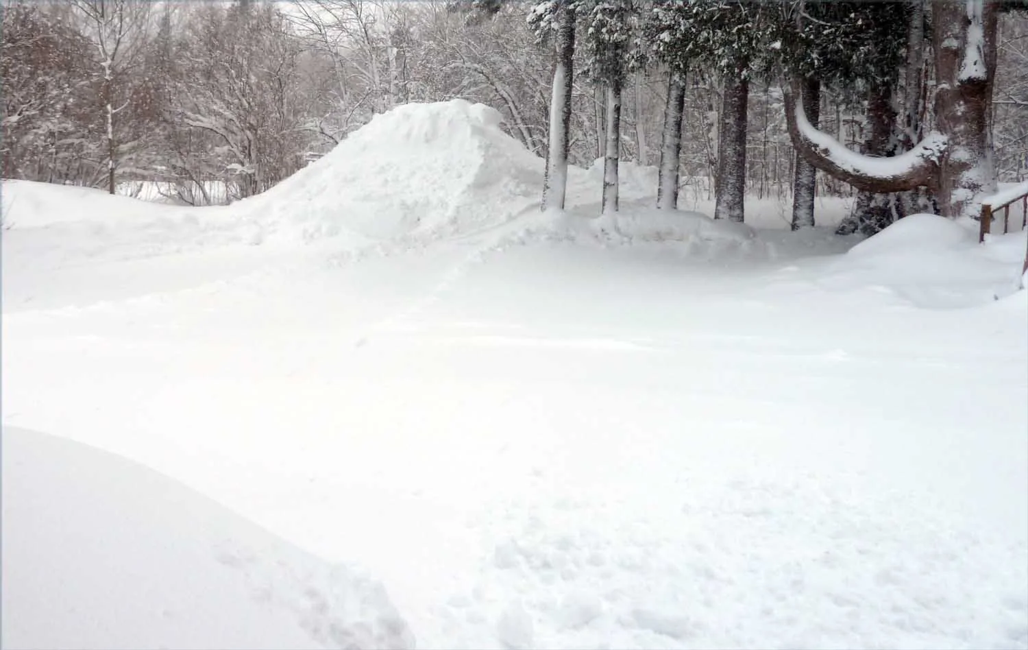snowyard71.webp