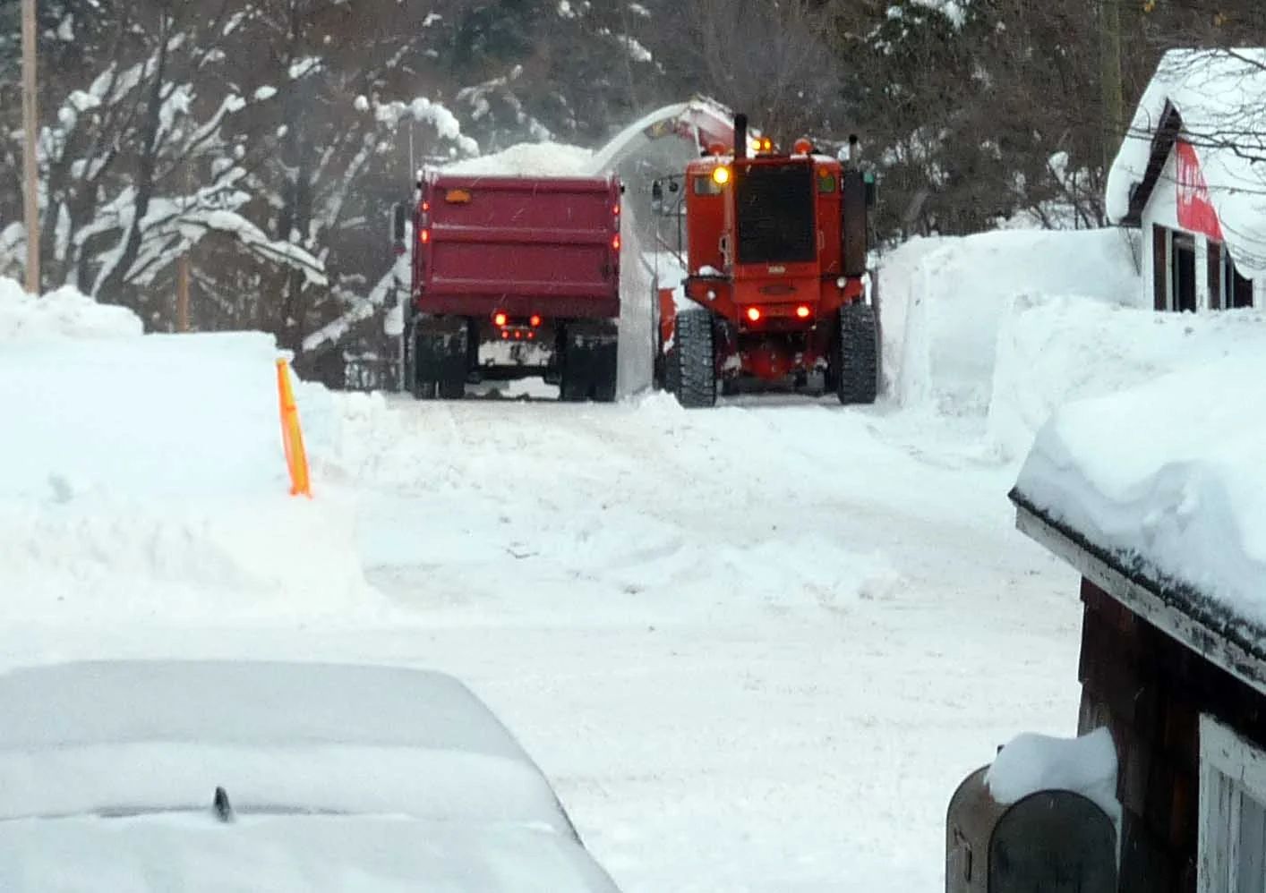 snowgo2019.webp