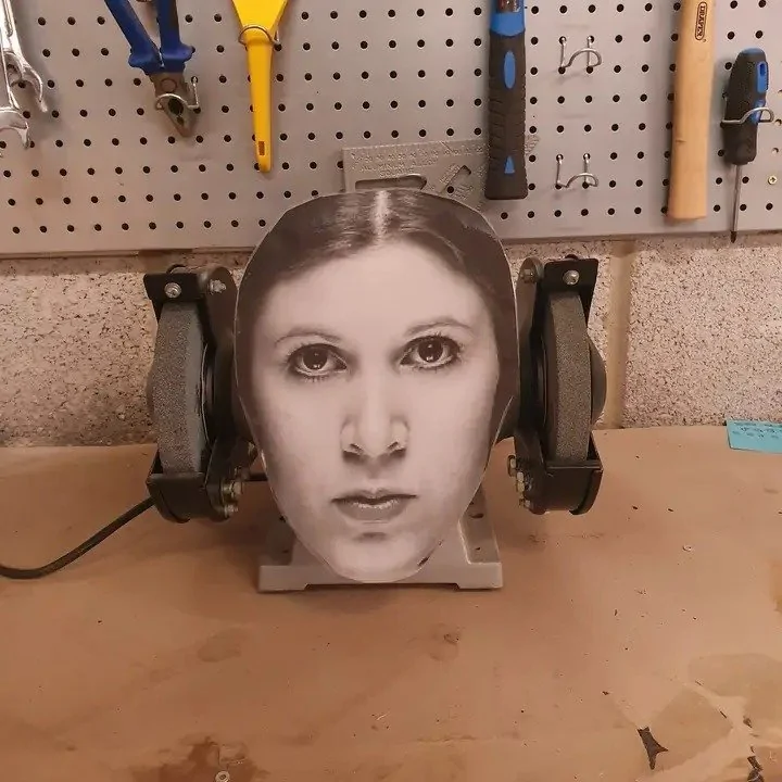 Leia.webp