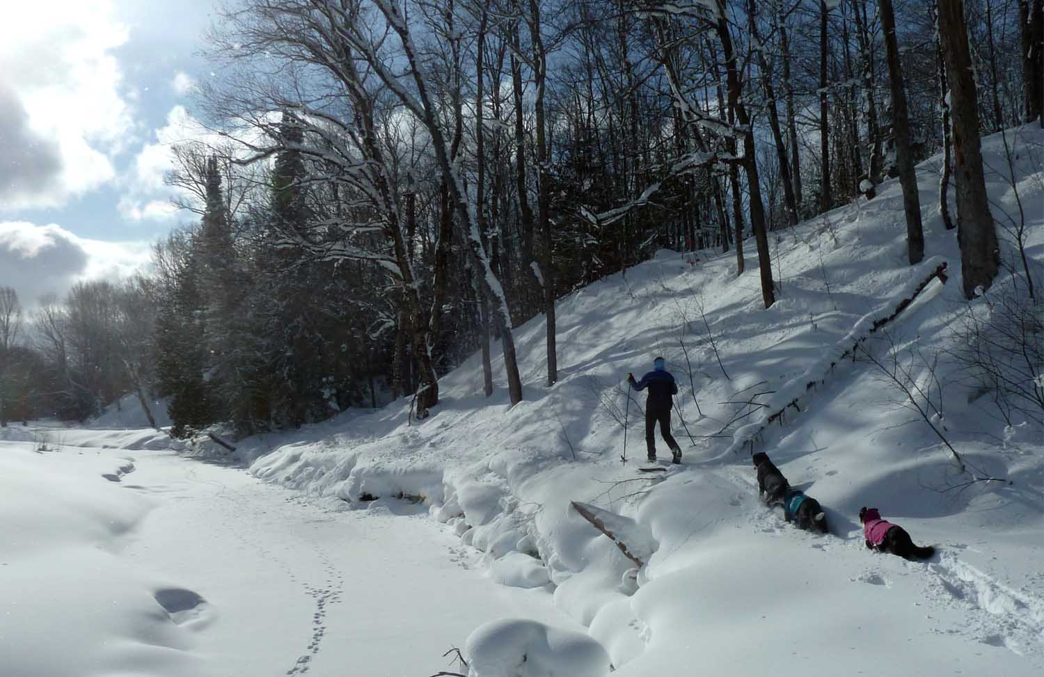 snowski117.jpg