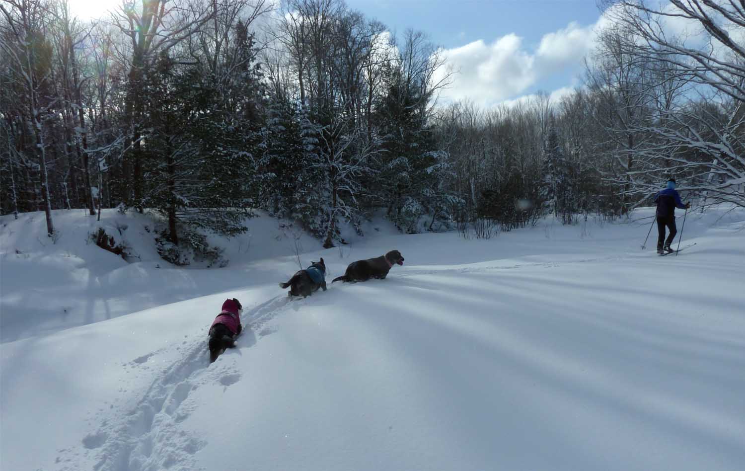 snowski114.jpg