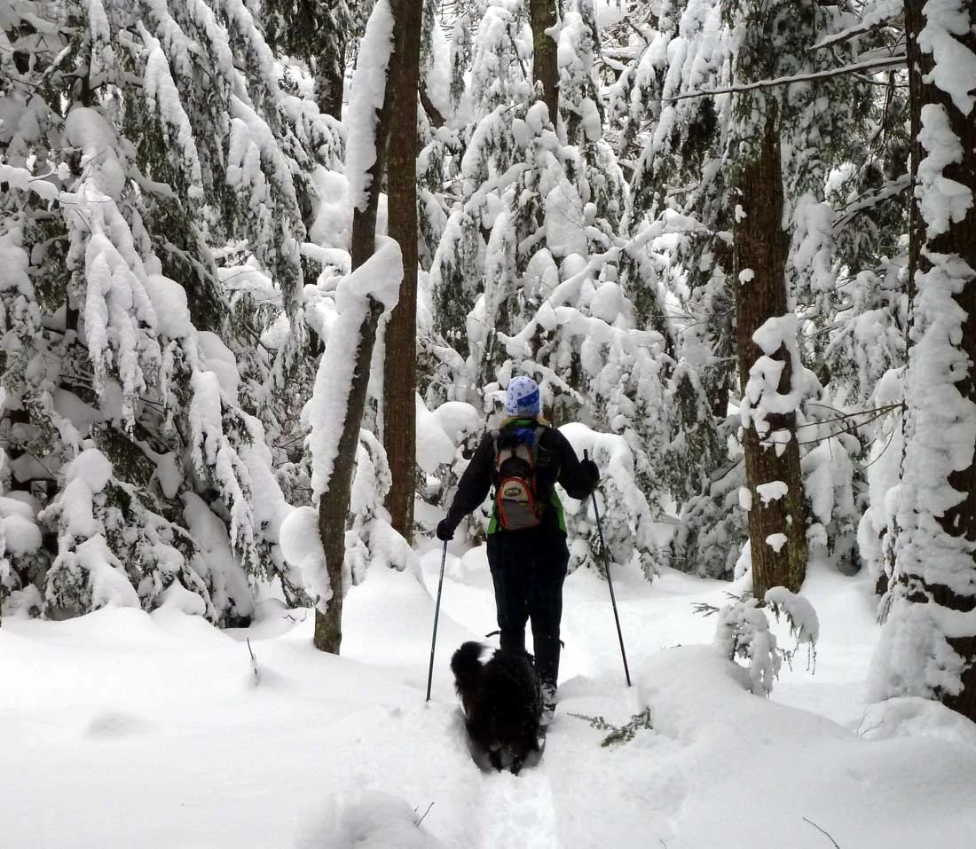 deepsnow141 (DL).webp